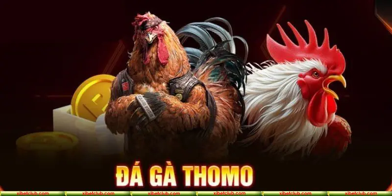 đá gà